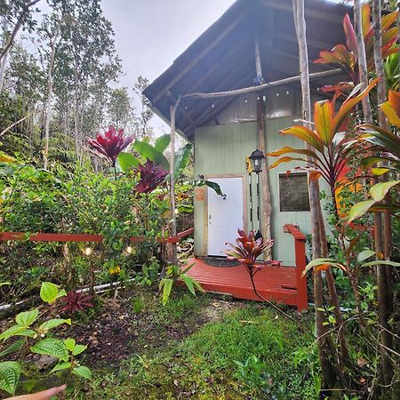 Cabin 2-Rustic Private Stay Near Volcano National Park Fern Forest Eksteriør billede