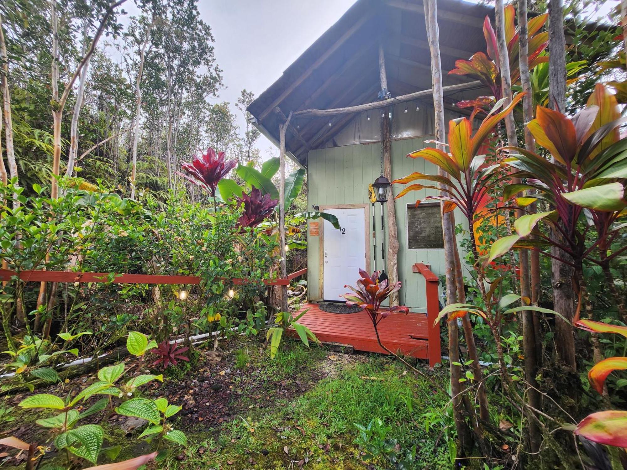 Cabin 2-Rustic Private Stay Near Volcano National Park Fern Forest Eksteriør billede